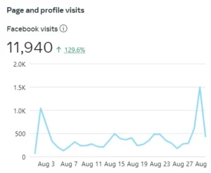 facebook-visits-chart-theresa-jane-social-media-assistant