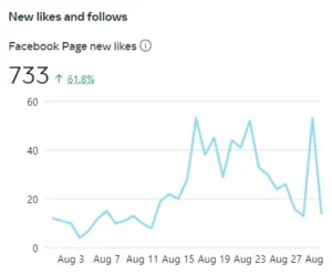 facebook-new-page-likes-chart