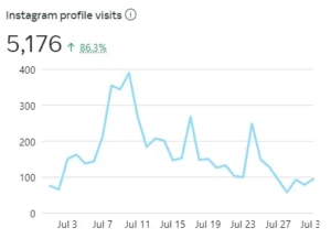 instagram-profile-visits-chart-theresa-jane-social-media-assistant